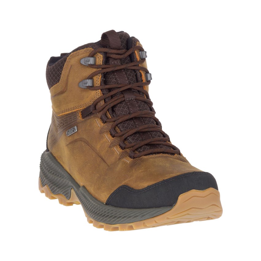 Chaussures Randonnée Merrell Forestbound Mid Waterproof Marron Homme | T.Y.JJCH